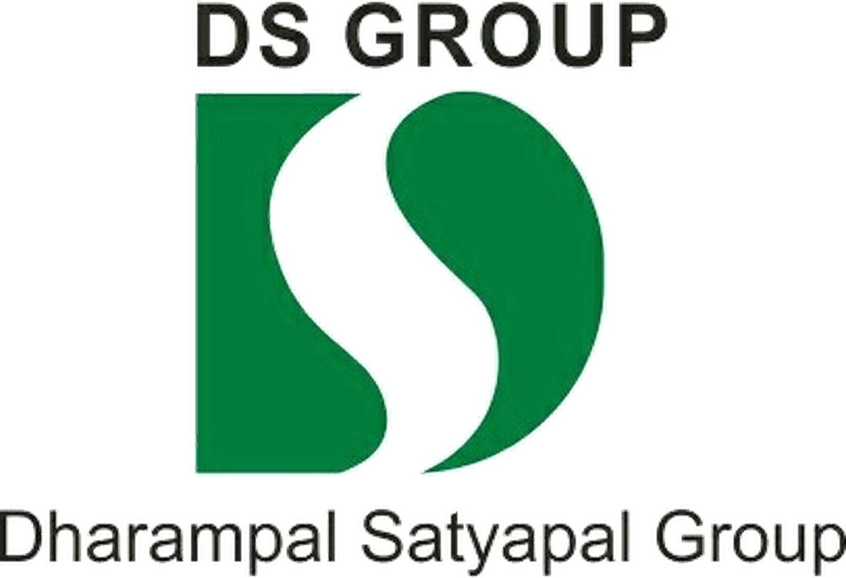 DS Group logo
